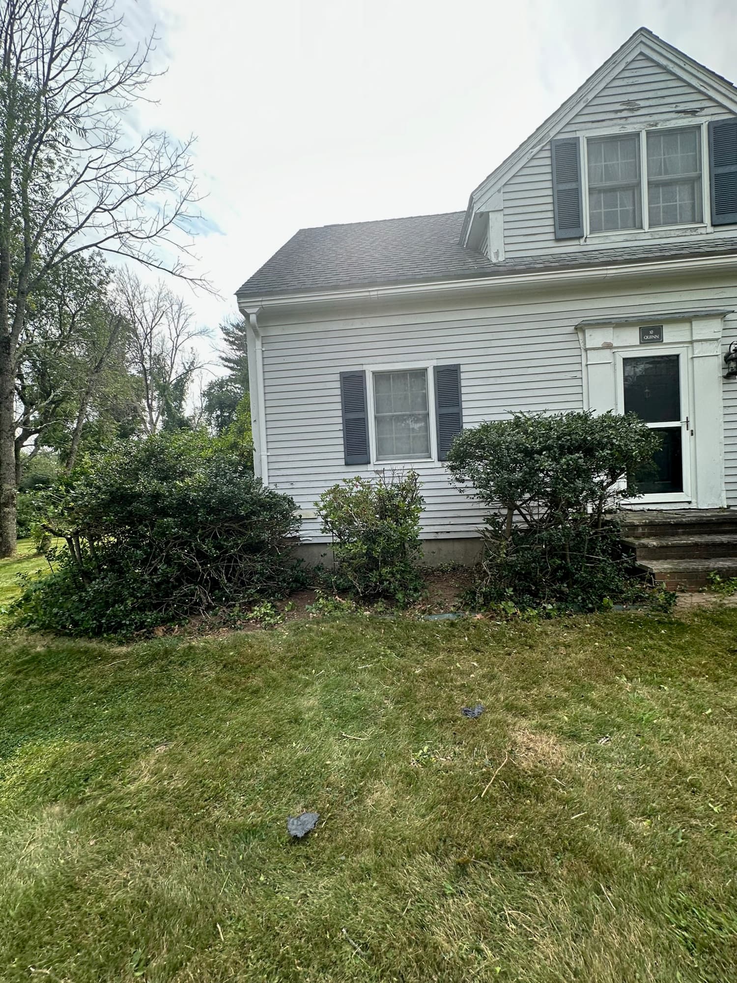 Freshly shaped foundation shrubs along a white cape home